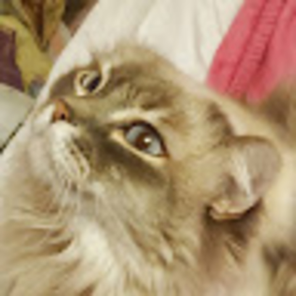 Meet your Posher, Losertron-3000